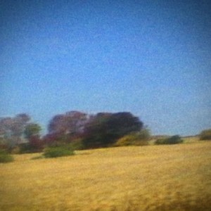 9-Sun Kil Moon